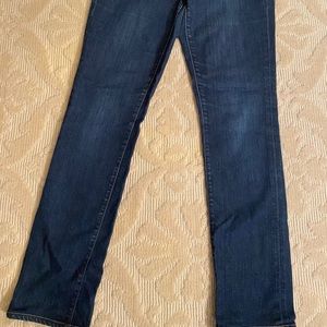 J brand pencil leg